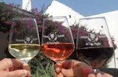 Wine Glasses - PHR