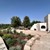 Trullo Uccello Plants