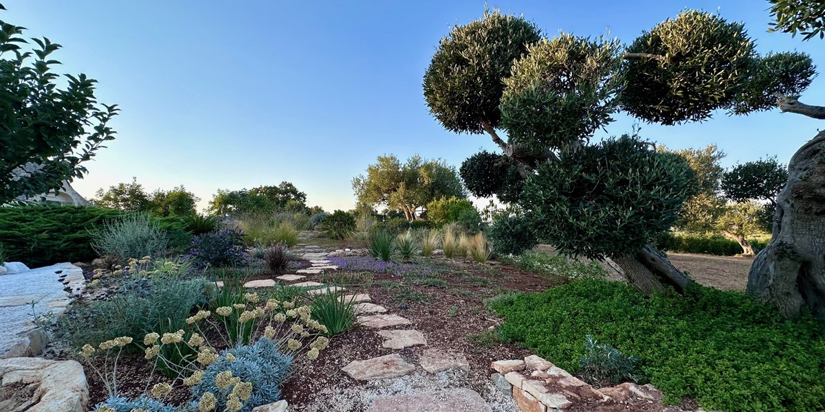Trulli Pietra Luna Bosco Selva Steps