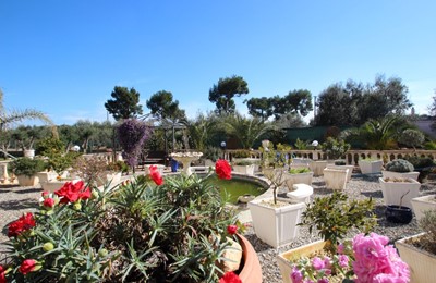 Casa Di Nonna Garden