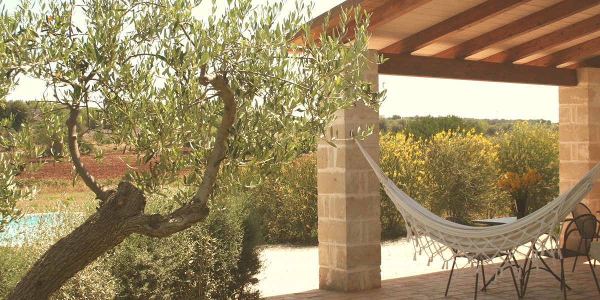 Lamia Sessana Hammock
