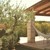 Lamia Sessana Hammock