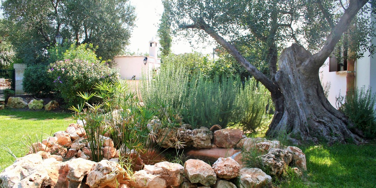 Villa Sessana Garden