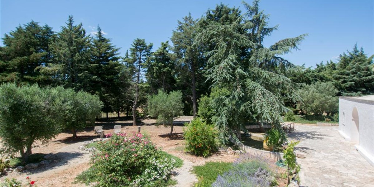 Trullo Jemma Pine Wood